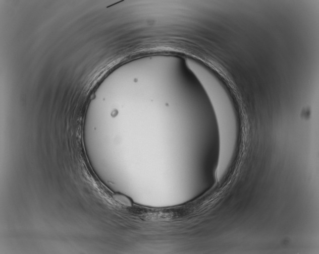 X0000115700793200912031504