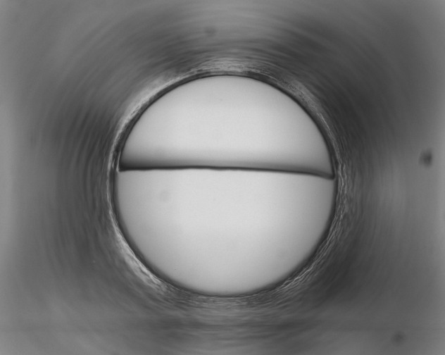 X0000115700795200912031504