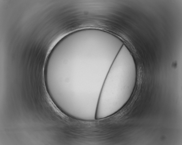 X0000115700796200912031504