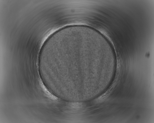 X0000115700797200912031504