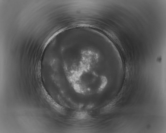 X0000115700798200912031504