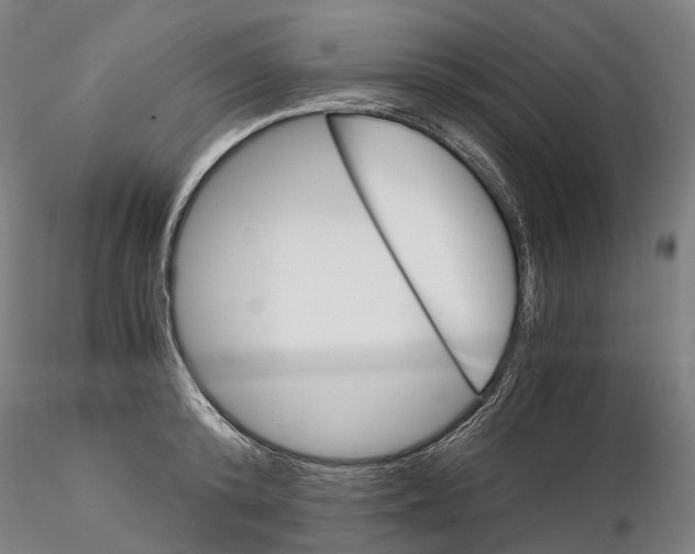 X0000115700800200912031504