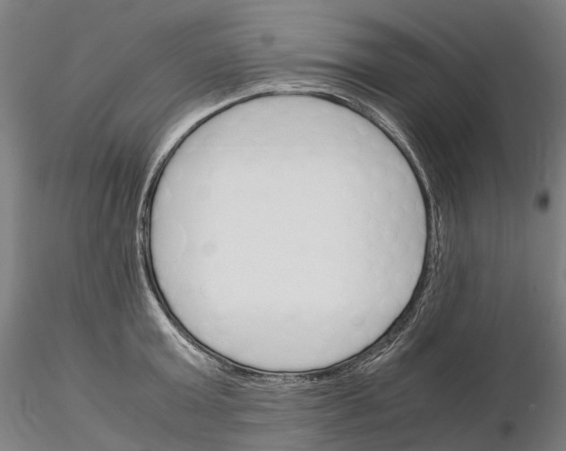 X0000115700803200912031504