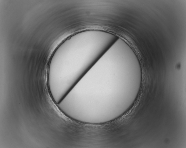 X0000115700804200912031504