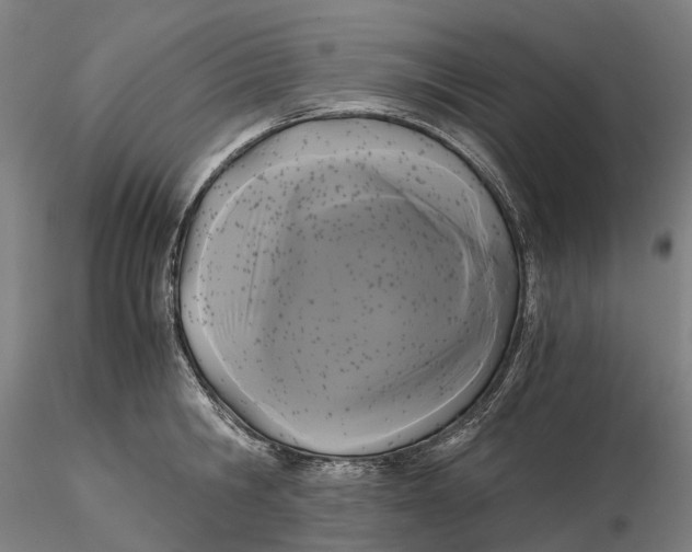 X0000115700806200912031504