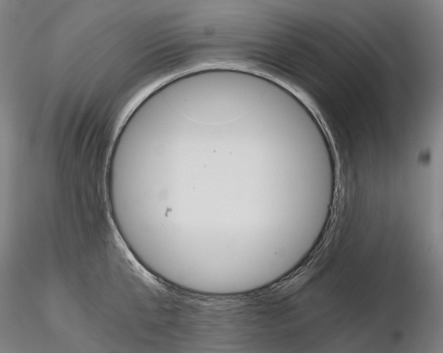 X0000115700807200912031504