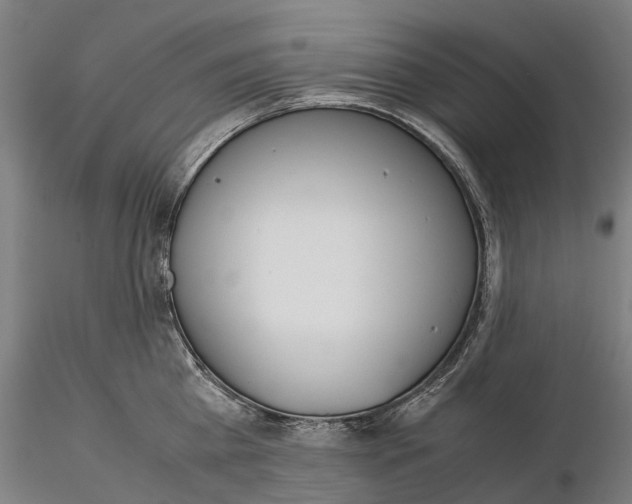 X0000115700809200912031504