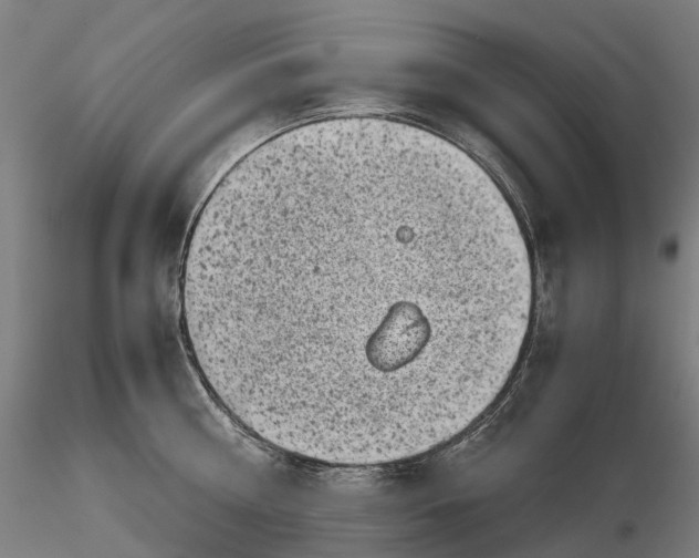 X0000115700810200912031504