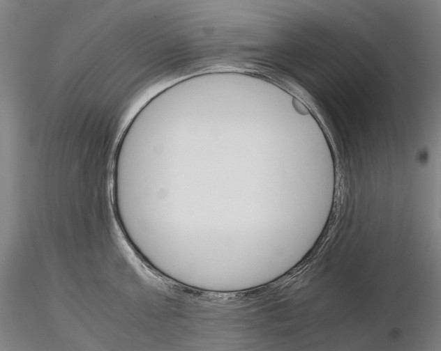 X0000115700811200912031504