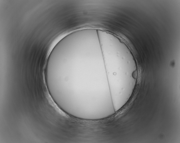 X0000115700812200912031504