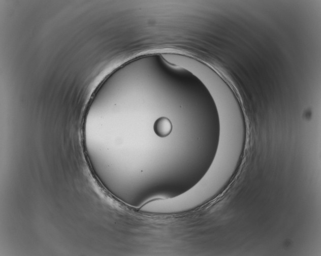 X0000115700813200912031504