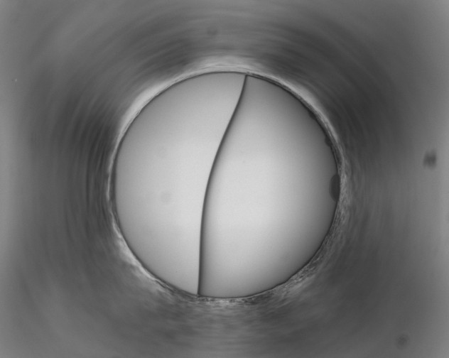 X0000115700815200912031504