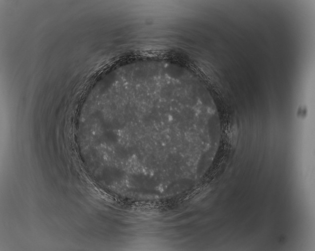 X0000115700817200912031503