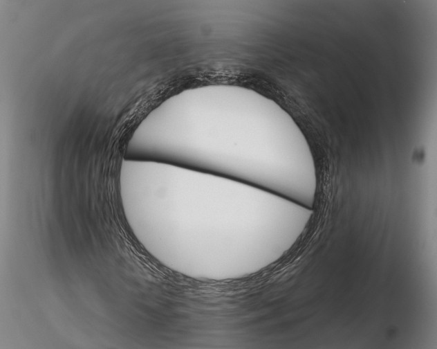 X0000115700818200912031503