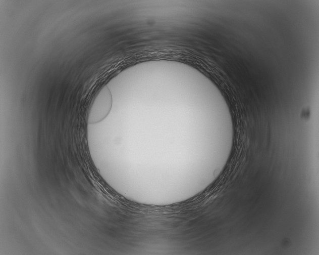 X0000115700820200912031503