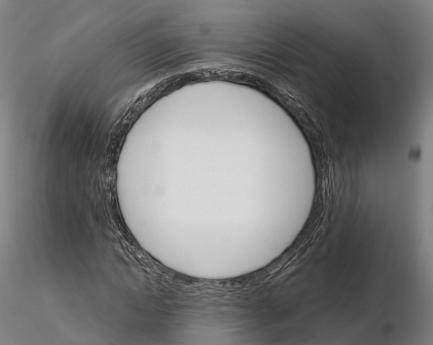 X0000115700822200912031503