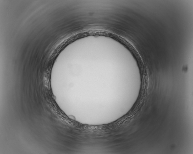 X0000115700823200912031503