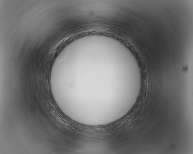 X0000115700824200912031503