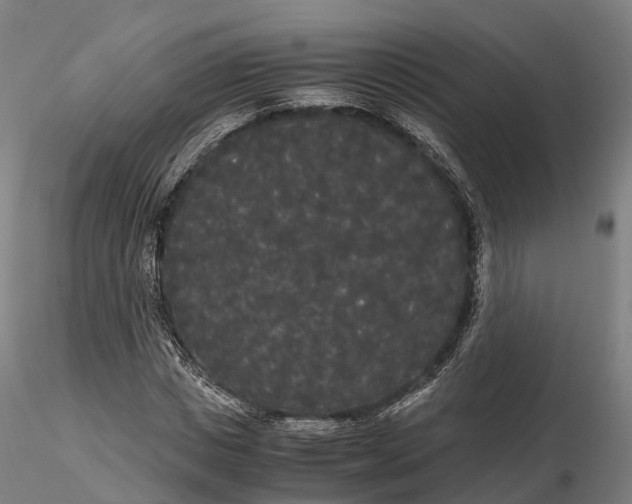 X0000115700825200912031503