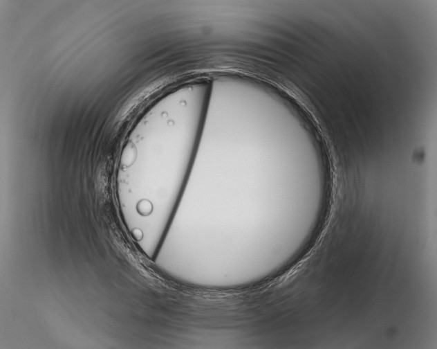 X0000115700826200912031503