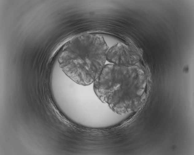 X0000115700827200912031503