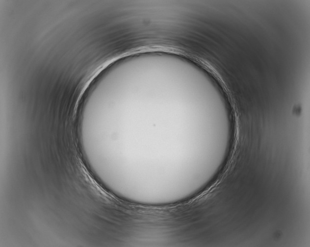 X0000115700828200912031503