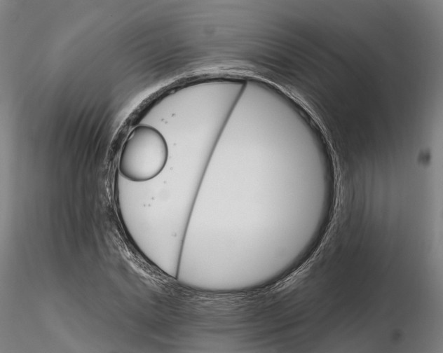 X0000115700830200912031503