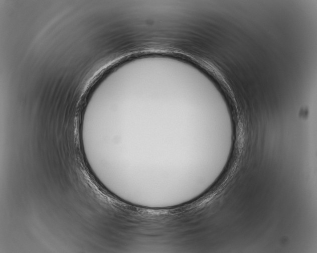 X0000115700831200912031503