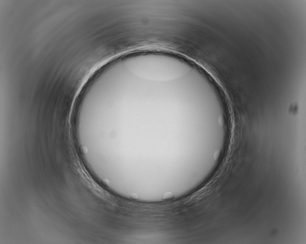 X0000115700832200912031503