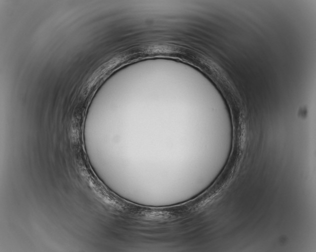 X0000115700833200912031503