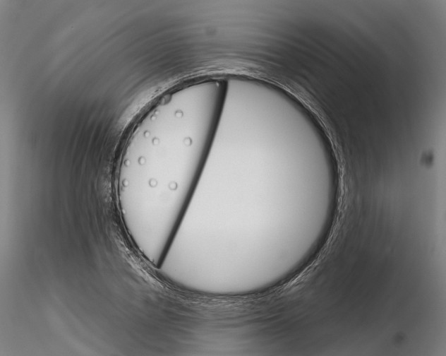 X0000115700834200912031503