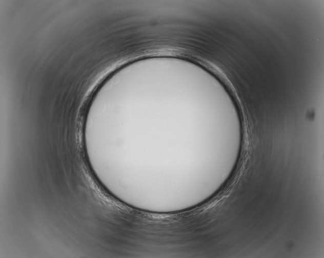 X0000115700835200912031503