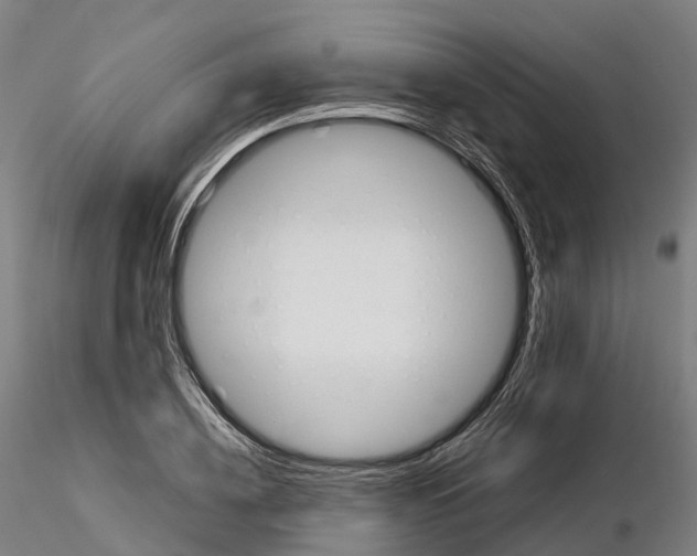 X0000115700836200912031503