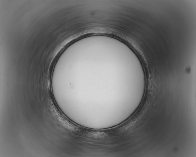 X0000115700837200912031503