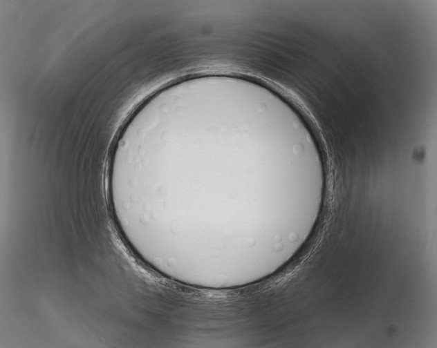 X0000115700839200912031503