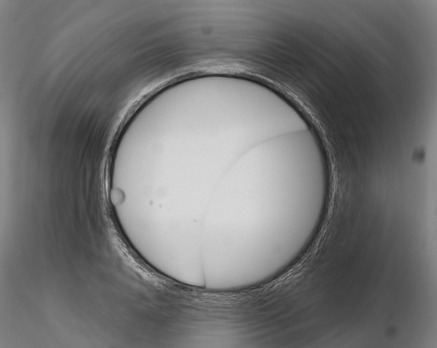 X0000115700840200912031503