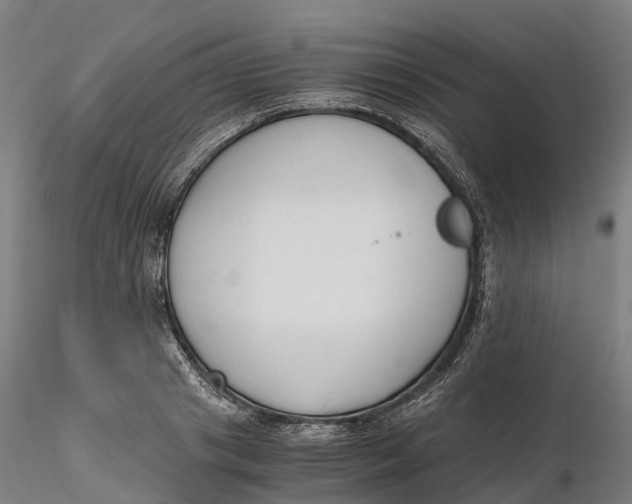 X0000115700841200912031503