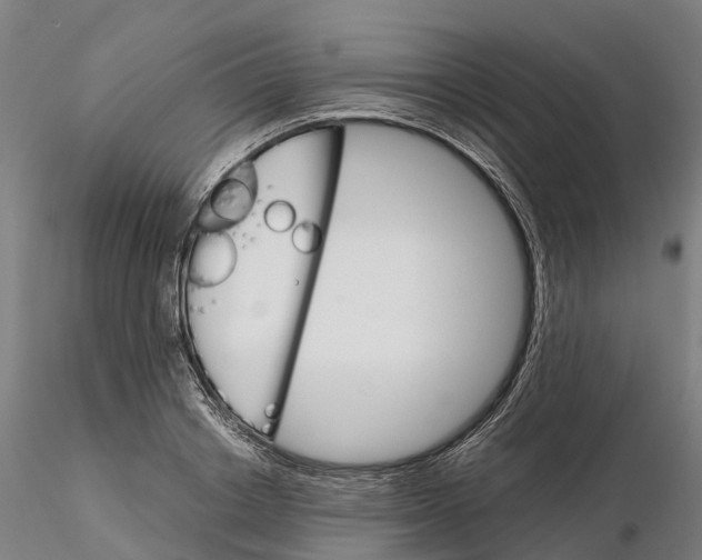 X0000115700842200912031503