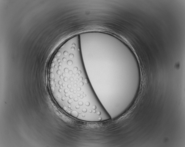 X0000115700843200912031503