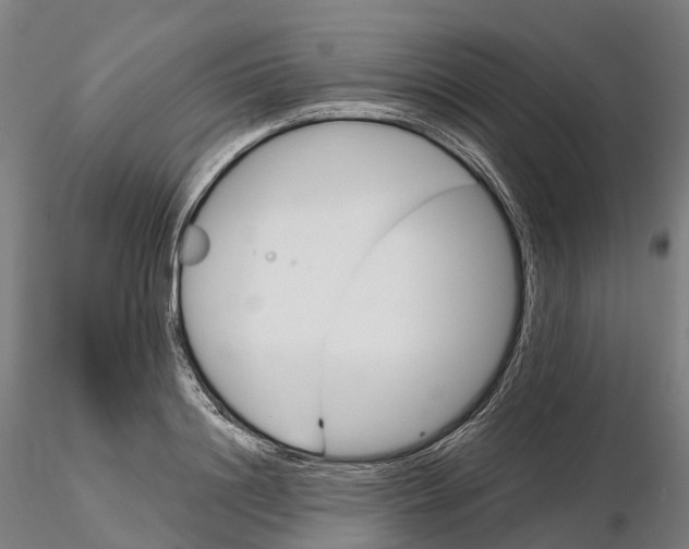 X0000115700844200912031503