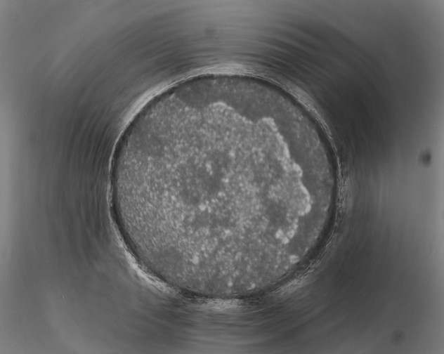 X0000115700845200912031503