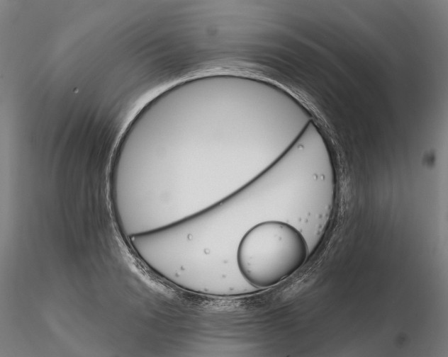 X0000115700846200912031503