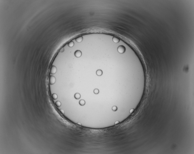 X0000115700847200912031503