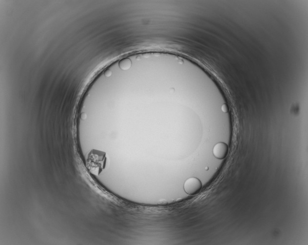 X0000115700848200912031503