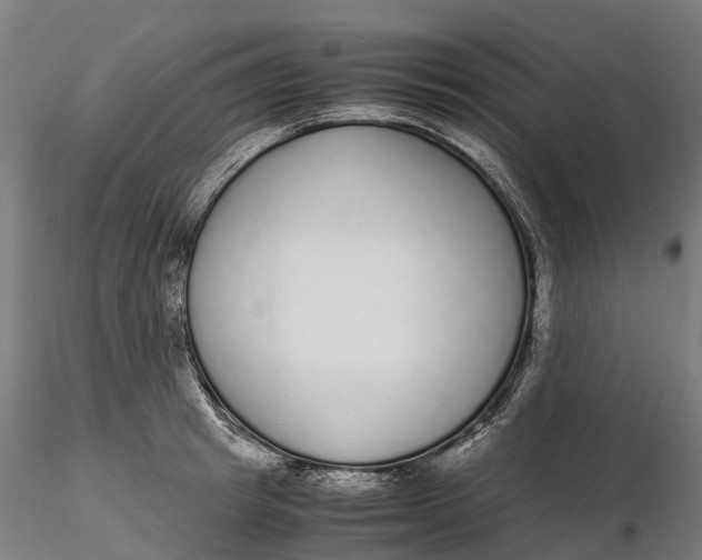 X0000115700849200912031503