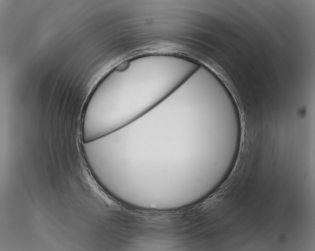 X0000115700850200912031503