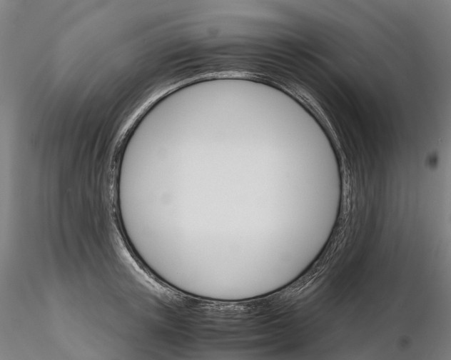 X0000115700851200912031503