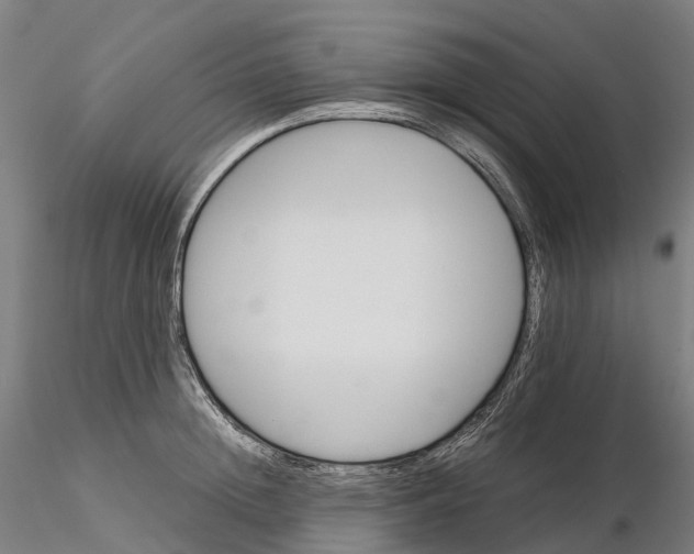 X0000115700852200912031503