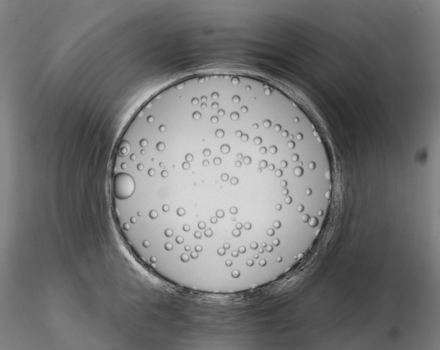 X0000115700855200912031503