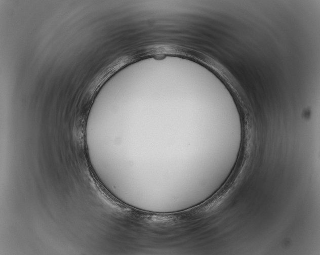 X0000115700857200912031503